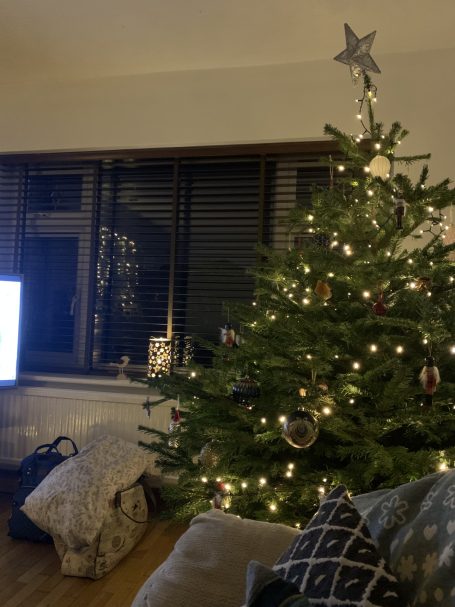 A cozy scene, with a lit Christmas tree, with two packed birth bags.   